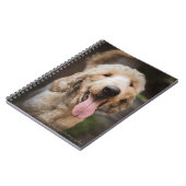 Reddingshond lachend standaard poedel notitieboek (Linkerzijde)