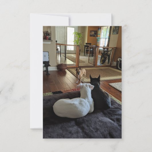 Reddingshonden 3,5" x 5" platte bedankkaart (Voorkant)