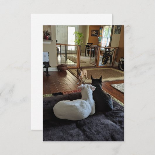 Reddingshonden 3,5" x 5" platte bedankkaart (Voorkant / Achterkant)