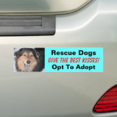 Reddingshonden geven de beste kusjes!... bumpersticker (Op auto)