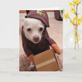 Reddingshonden Standaard, 5" x 7" Gevouwen Wenskaa Kaart (Gele Bloem)