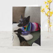 Reddingshonden Standaard, 5" x 7" Gevouwen Wenskaa Kaart (Gele Bloem)