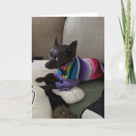 Reddingshonden Standaard, 5" x 7" Gevouwen Wenskaa Kaart