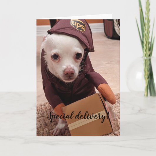 Reddingshonden Standaard, 5" x 7" Gevouwen Wenskaa Kaart (Voorkant)