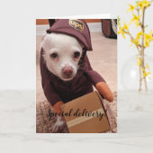 Reddingshonden Standaard, 5" x 7" Gevouwen Wenskaa Kaart (Gele Bloem)