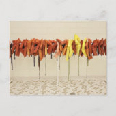 Reddingsjassen Briefkaart (Voorkant)