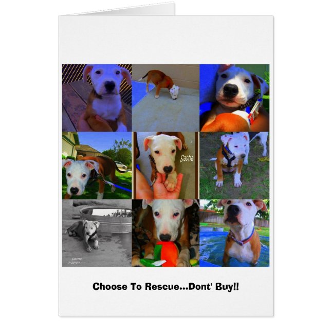 Reddingskaarten... (Voorkant)