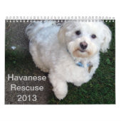 Reddingskalender voor Havanese Kalender (Hoes)