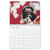 Reddingskalender voor Havanese Kalender (Mar 2027)