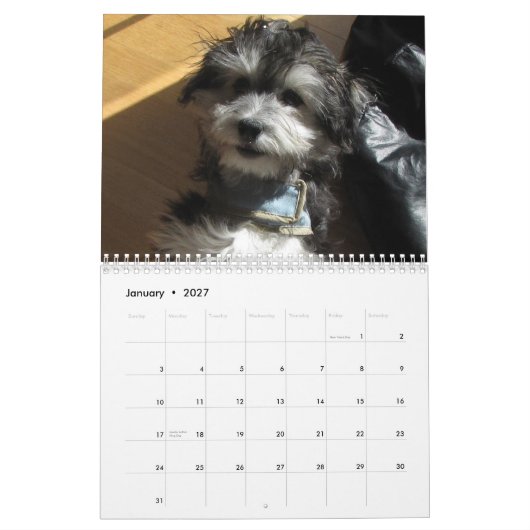 Reddingskalender voor Havanese Kalender (Jan 2027)