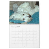 Reddingskalender voor Havanese Kalender (Feb 2027)