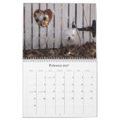Reddingskalender voor Havanese Puppy 2012 Kalender (Feb 2027)