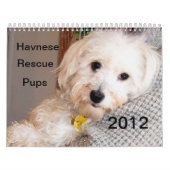 Reddingskalender voor Havanese Puppy 2012 Kalender (Hoes)