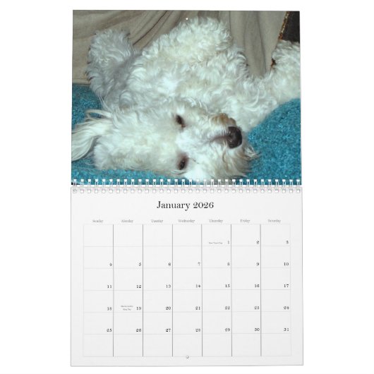 Reddingskalender voor Havanese Puppy 2012 Kalender (Jan 2026)