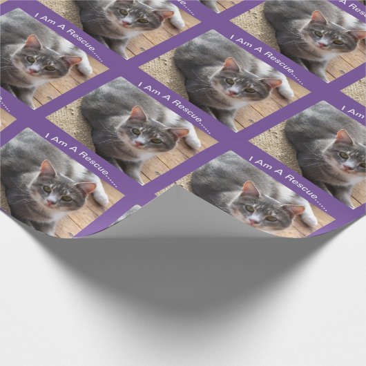 Reddingskat Gift Wrapping Paper Cadeaupapier (Hoek)