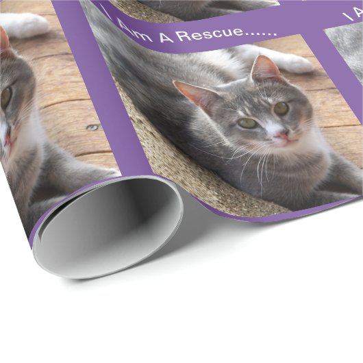 Reddingskat Gift Wrapping Paper Cadeaupapier (Rol Hoek)