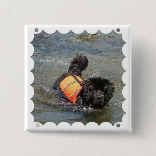 Reddingsprogramma voor Newfie-water Vierkante Button 5,1 Cm (Voorkant)