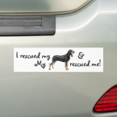 Reddingszwart en Tan Coonhound Bumpersticker (Op auto)