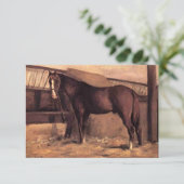 Reddish Bay Paard in de Stallen Kaart (Staand voorkant)