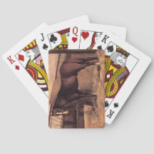 Reddish Bay Paard in de Stallen