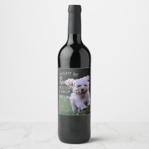 reden waarom je een drink hebt van een stoute hond wijn etiket