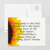 Redenen van het leven briefkaart (Voorkant / Achterkant)