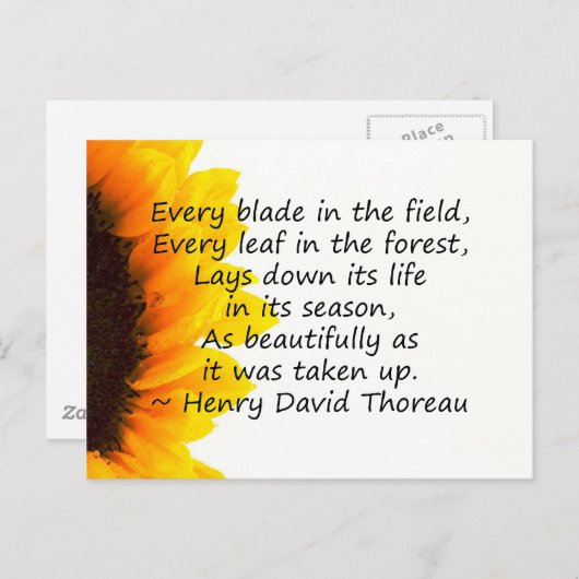 Redenen van het leven briefkaart (Voorkant / Achterkant)