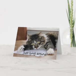 Redenen waarom ik je kat kaart mis