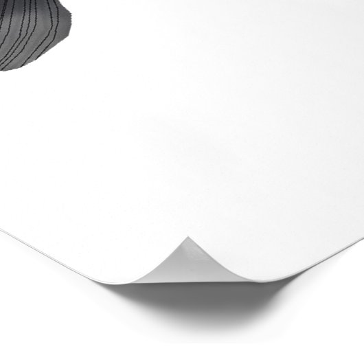 Redeye Piranha Poster (Hoek)