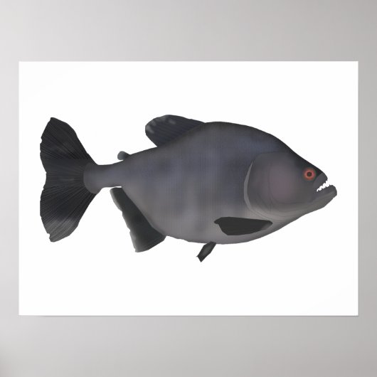 Redeye Piranha Poster (Voorkant)