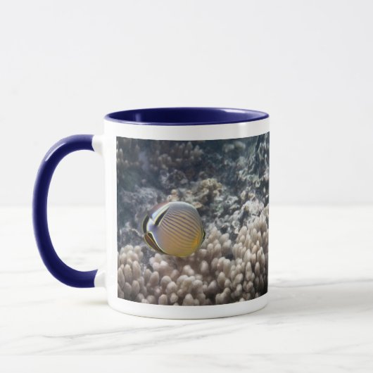 Redfin Butterflyfish (Chaetodon lunulatus) Mok (Links)