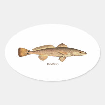Redfish
