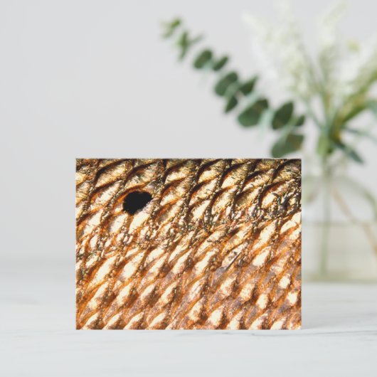 "Redfish" - rode drum door PatternWear© Briefkaart (Staand voorkant)