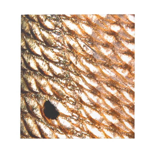 "Redfish" - rode drum door PatternWear© Notitieblok (Voorkant)