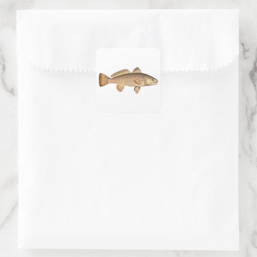 Redfish Vierkante Sticker (Tas)