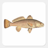 Redfish Vierkante Sticker (Voorkant)