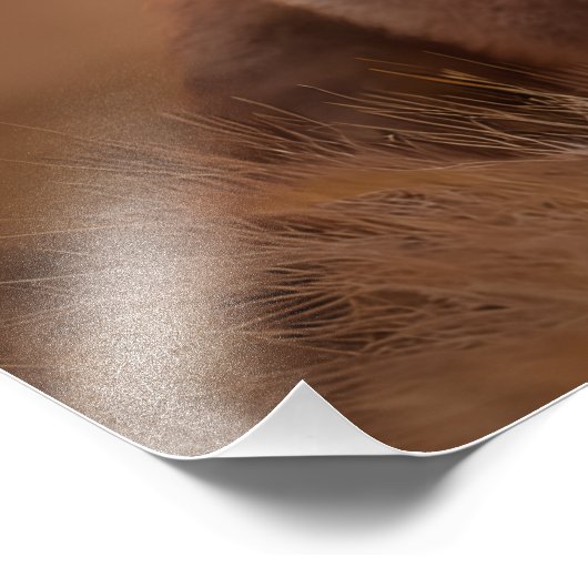 Redfox Foto Afdruk (Hoek)