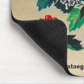 Redhaw Hawthorn op oud papier Muismat (Hoek)