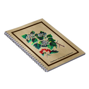 Redhaw Hawthorn op oud papier Notitieboek