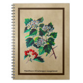 Redhaw Hawthorn op oud papier Notitieboek (Voorkant)