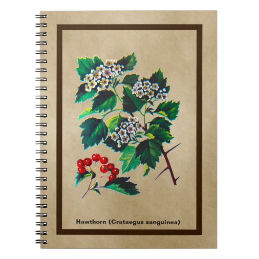 Redhaw Hawthorn op oud papier Notitieboek (Voorkant)