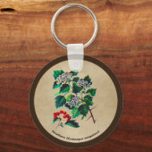 Redhaw Hawthorn op oud papier Sleutelhanger (Voorkant)
