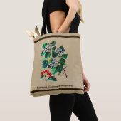 Redhaw Hawthorn op oud papier Tote Bag (Dichtbij)