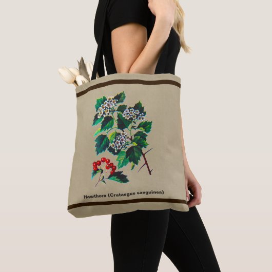 Redhaw Hawthorn op oud papier Tote Bag (Dichtbij)