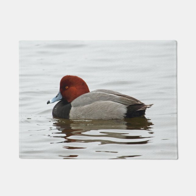 Redhead Duck Drake Deurmat (Voorkant)