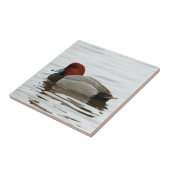 Redhead Duck Drake - Quiet Winter Morning Tegeltje (Zijkant)