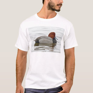 Redhead Duck Drake T-shirt