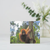 Redhead in Indonesië Briefkaart (Staand voorkant)