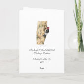 Redheaded Specht Bedankkaart (Achterkant)