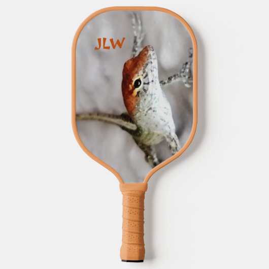 Redkoppen hebben meer flauwe koepelpenhagedis pickleball paddle (Achterkant)